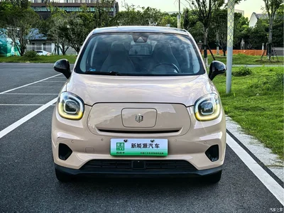 2021 Leapmotor T03 400 Luxury Edition, фото 2, лот 10317452