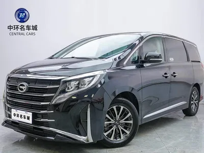 2024 GAC Trumpchi Trumpchi M8 Leadershow Series 390T Premium Edition, фото 1, лот 10415270