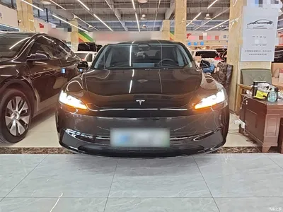 2023 Tesla Model 3 Rear-Wheel Drive, фото 3, лот 11008216