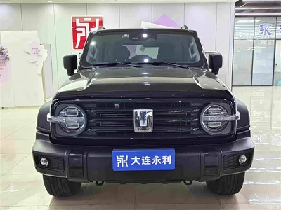 2021 Tank 300 Off-road Version 2.0T Conqueror, фото 2, лот 10450262