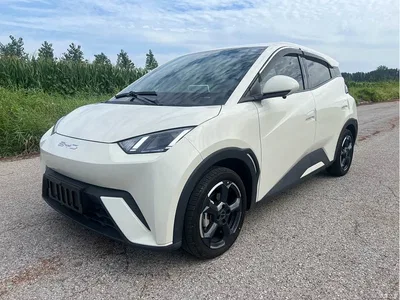 2023 BYD Seagull Flying Edition, фото 1, лот 10255216
