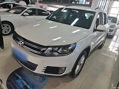 2016 Volkswagen Tiguan 280TSI Automatic 2WD Silk Road Fashion Edition, фото 2, лот 10478379