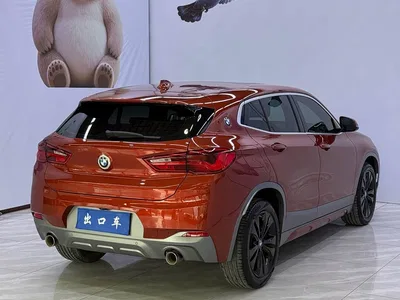 2020 BMW X2 sDrive20i M Off-Road Package, фото 4, лот 10475461