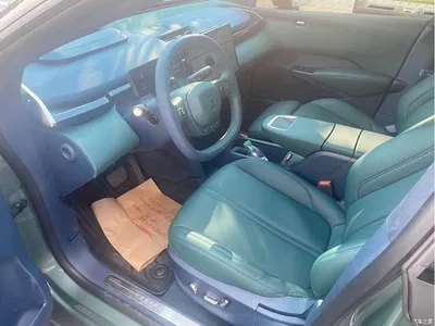 2023 ZEEKR X RWD YOU Edition 4-seater, фото 4, лот 10305668