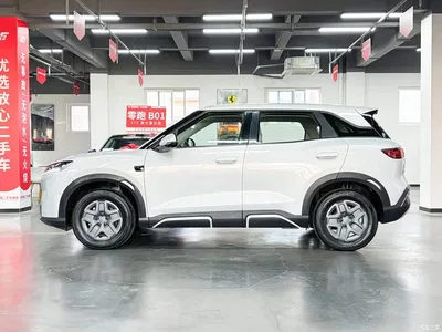 2025 BYD Yuan UP Smart Drive Edition 401KM Vitality Version, фото 4, лот 10391560