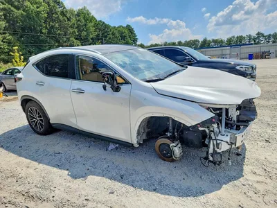 2025 LEXUS NX 350H LUXURY, фото 4, лот 10900666