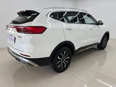 2023 Haval H6 National Trend Edition 1.5T Automatic Urban, фото 4, лот 11494466