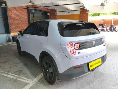 2025 Firefly Firefly Luminescent Edition, фото 3, лот 10362056