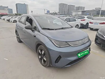 2025 BYD Dolphin Smart Drive Edition 410km Fashion Version, фото 4, лот 10671225