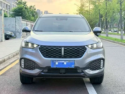 2020 WEY VV6 2.0T 2WD Smart Enjoy+, фото 2, лот 10451941