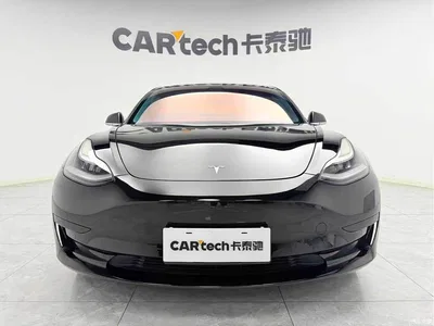 2020 Tesla Model 3 Standard Range Rear-Wheel Drive Upgrade, фото 2, лот 10366554