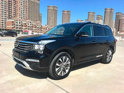 2017 GAC Trumpchi Trumpchi GS8 320T 2WD Luxury Smart Connect (7-seater), фото 3, лот 10417702