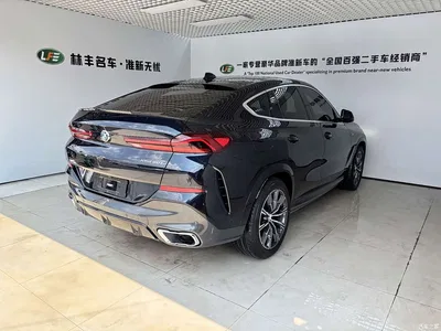 2022 BMW X6 xDrive40i M Sport Package, фото 4, лот 10469146