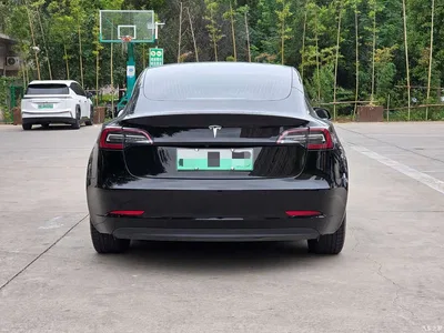 2020 Tesla Model 3 Facelift Standard Range RWD Upgrade, фото 3, лот 10353493
