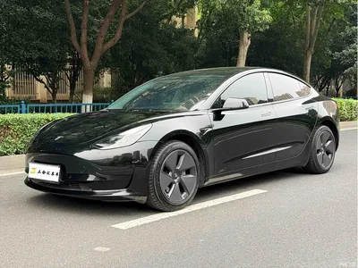 2022 Tesla Model 3 Model Rear-Wheel Drive Version, фото 1, лот 10955076