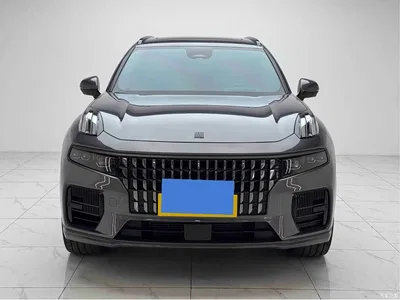 2023 Lynk & Co 09 EM-P 2.0TD EM-P Long Range PM 6-Seater, фото 2, лот 10314084