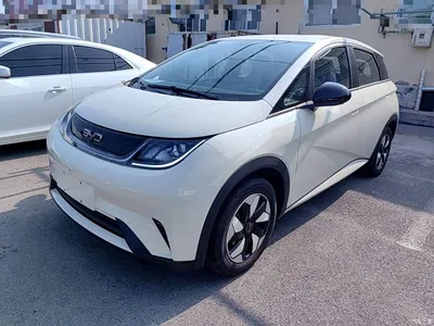 2025 BYD Dolphin 420km Freedom Edition, фото 2, лот 10263949