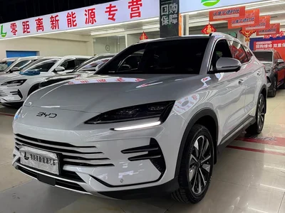 2025 BYD Song PLUS PHEV DM-i 112KM Honor, фото 2, лот 11243493
