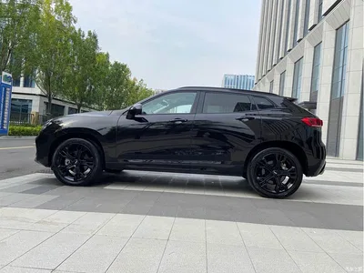2019 WEY VV7 Upgraded 2.0T Flagship China V, фото 2, лот 10401198