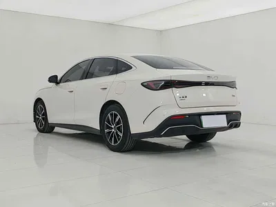 2024 BYD Seal 06 New Energy DM-i 80KM Prestige, фото 4, лот 10275506