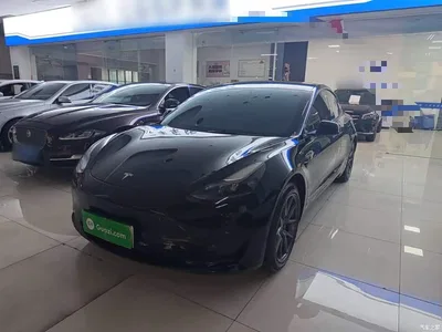 2022 Tesla Model 3 Model Rear-Wheel Drive Version, фото 1, лот 11134258