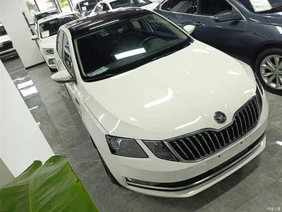 2019 Škoda Octavia TSI230 DSG Smart Luxury Edition China V, фото 4, лот 10357299