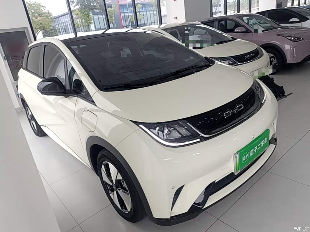 2023 BYD Dolphin 420km Fashion Edition, фото 4, лот 11221196