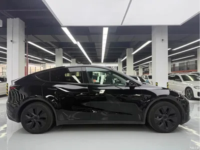 2023 Tesla Model Y Rear-Wheel Drive Edition, фото 4, лот 11018128