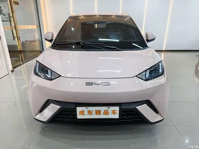 2023 BYD Seagull Flying Edition, фото 2, лот 10247720