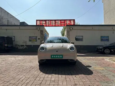 2022 Ora Good Cat 400km Standard Range Luxury LFP, фото 2, лот 10332205