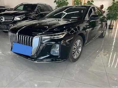 2023 Hongqi H5 1.5T DCT Smart Connect Flag Rhythm, фото 1, лот 11587786