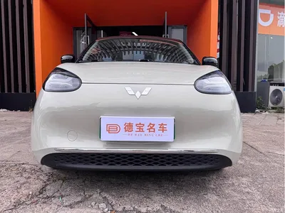 2024 Wuling Motors Wuling Bingo 333km Smart Connect Edition, фото 2, лот 10367072