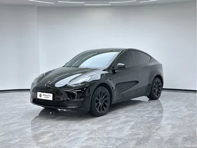 2023 Tesla Model Y Long Range All-Wheel Drive Edition, фото 1, лот 10435253
