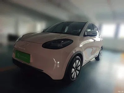 2024 Wuling Motors Wuling Bingo 333km Smart Connect Edition, фото 1, лот 11097053