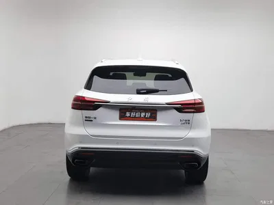 2019 Hongqi HS5 2.0T Intelligent Flagship 4WD Version, фото 4, лот 11539585