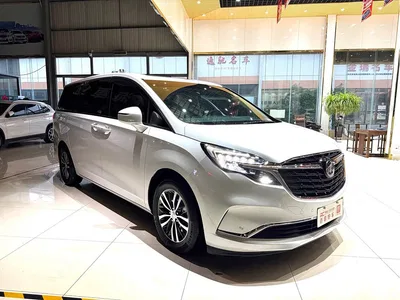 2022 Buick GL8 ES Landmark 653T Premium, фото 3, лот 10902068