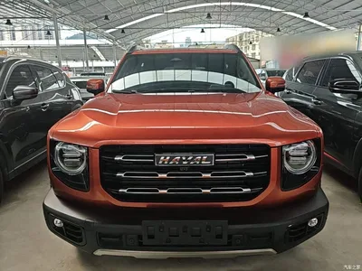 2021 Haval Big Dog 2.0T DCT 4WD Chinese Rural Dog Edition, фото 3, лот 10764304