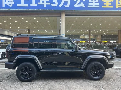 2023 Tank 300 Off-Road Edition 2.0T Conqueror, фото 4, лот 10344191