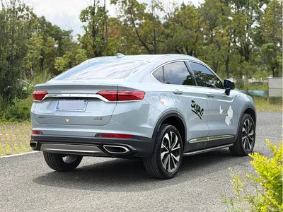 2021 Geely Xingyue S 2.0TD DCT Two-Wheel Drive Lightning Edition, фото 4, лот 10302539
