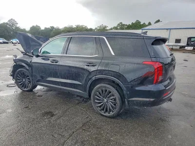 2025 HYUNDAI PALISADE CALLIGRAPHY NIGHT EDITION, фото 2, лот 10740366