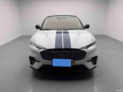 2021 Ford Mustang Mach-E Leap World RWD (Standard Range), фото 1, лот 10281269