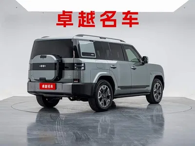 2025 Byd Titanium 7 200KM Front-Wheel Drive Max Edition, фото 4, лот 11138676
