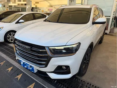 2021 Haval H6 National Trend Edition 1.5T Automatic Urban Edition, фото 1, лот 10999371