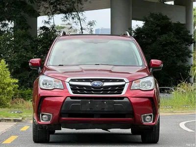 2016 Subaru Forester 2.0i Fashion Navigation Edition, фото 3, лот 10342311