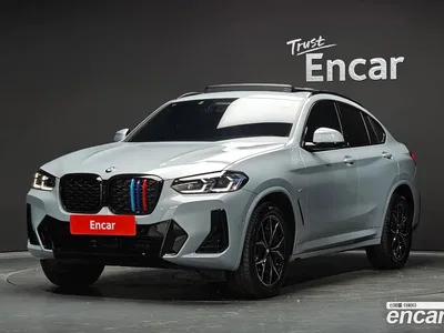 2024 BMW X4 xDrive20i M Sports Pro, фото 1, лот 10196369