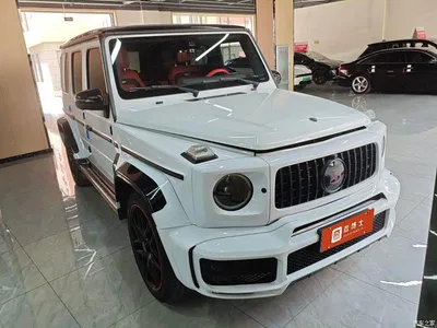 2019 Mercedes-Benz G-Class, фото 1, лот 11096537