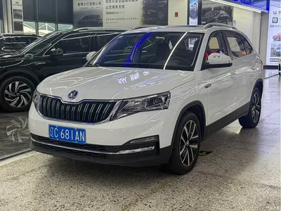 2023 Škoda Kamiq 1.5L Auto Comfort Edition, фото 1, лот 10348362