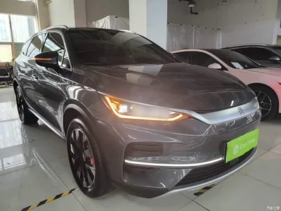 2024 BYD Tang New Energy EV Champion Edition 730KM Premium, фото 4, лот 10476162