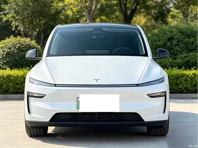2025 Tesla Model Y Model Rear-Wheel Drive Launch Edition, фото 2, лот 10679640