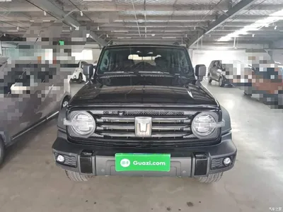 2021 Tank 300 Off-road Version 2.0T Conqueror, фото 3, лот 10390497